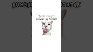 Один день из жизни сына маминой подруги