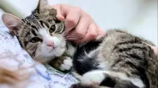 Машка