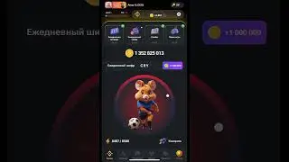 Как ввести ежедневный шифр в Hamster Kombat на 9 августа