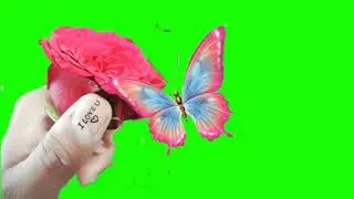 green screen effects.flowers green screen effects.rose green screen effects.