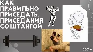 Как правильно приседать. Приседания со штангой.
