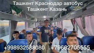 Ташкент Краснодар автобус 2023 Ташкент Казань Ташкент Ростов Ташкент Нижний Новгород