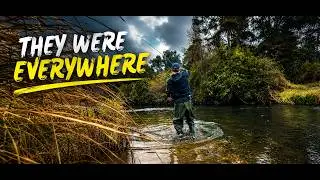 They Were EVERYWHERE... NZ Winter Trout On the Fly!