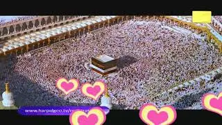 Dil dil ramzan status ramzan special