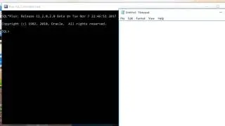 Introducing Oracle