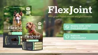 Get your dog moving again with FlexJoint!
