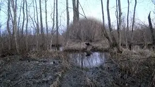 Охота 