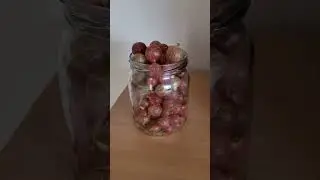 20 июня 2024 г.