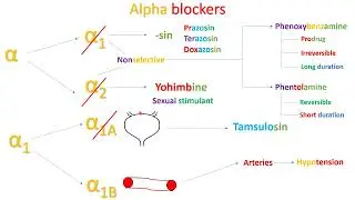 Introduction into alpha blockers - in Arabic