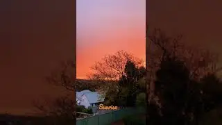 Sunrise