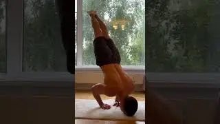 Отжимания в стойке на руках и их разнообразие🦍 