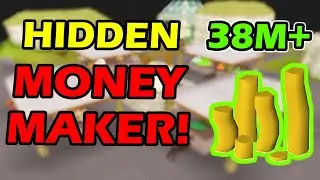 This Hidden Money Making Method made me 37,578,862 GP in OSRS 2024!