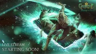 GWENT: The Witcher Card Game - New Decks For Scraps and Kegs! - LIVE