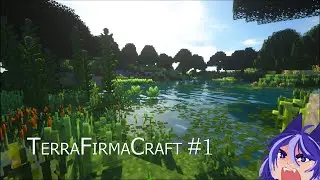 TerraFirmaCraft | №01 | Мнимое начало