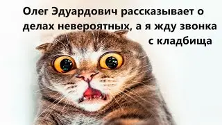 Олег Эдуардович рассказывает о делах невероятных, а я жду звонка с кладбища