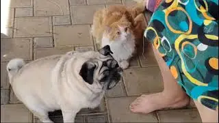 Сладкий поцелуй Джесси❤