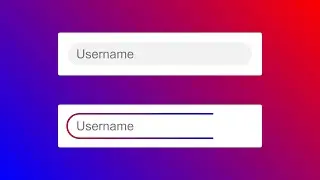 Input Field Border Animation Using HTML & CSS. | CSS Border Animation.