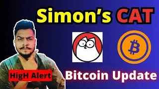 Simon's CAT Meme Coin Update & Bitcoin Price Prediction Today 48,000$