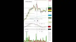 PARAGMILK SHARE TARGET PARAGMILK SHARE ANALYSIS