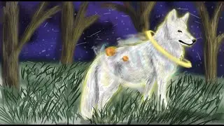 #katts100con // My Entry // Speedpaint // 