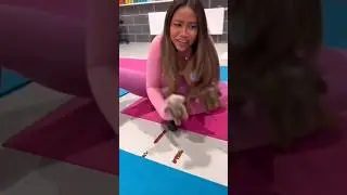 вот хулиган 🤣 #смешныеживотные  #прикол #приколы #ржачь #смех #смешно #смешные #юмор  #видеоприколы