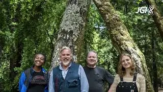 Tracking & Controlling California's Woodland Plague: Sudden Oak Death