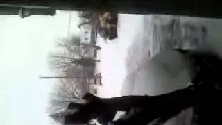 Snow day 2!