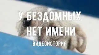 Видеоистория 