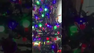 Уже спасла 44 дерева. 