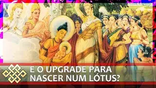 Como renascer budista