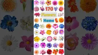170 Flowers Name: Part- 04 
