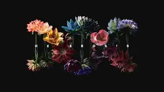 Heterosis by Mat Collishaw and Danil Krivoruchko on OG.Art