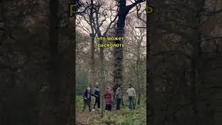 Ахуеть как интересно🤣🤣🤣 