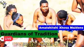 Amatshitshi Xhosa Maidens: Guardians of Tradition