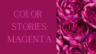 Color Stories: Episode 17 Magenta