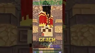I nerfed myself in Hypixel Skyblock…