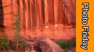 Utah Photography Trip Day 3: Large Format in Neon Canyon