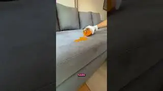This is the best sofa in the world😱