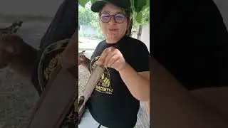 обзор на палку