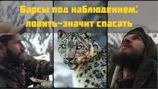 Прогулка по Медвежьему ущелью. Кто и как ловит снежного барса в Казахстане.