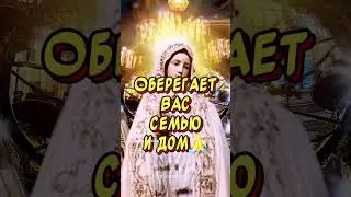5 сентября 2024 г.