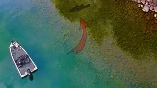 Chasing Monster Bass in Ultra Clear Water!