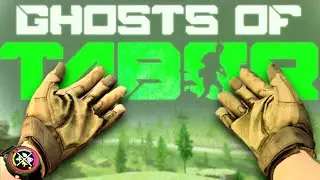 The ULTIMATE Guide to Ghosts of Tabor - (UPDATED GUIDE OUT NOW!)