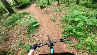 Testing out my new go pro