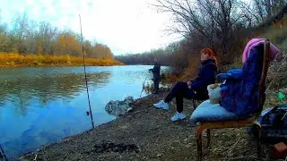 фидер и донка, активный клёв в конце октября.