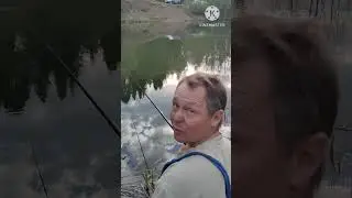 31 мая 2024 г.