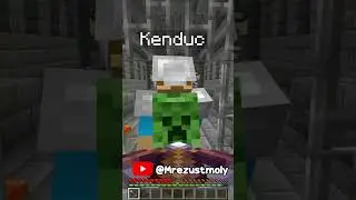 Ezért Ne Bántsd az Ezüstmolyokat... @Mrezustmoly  #minecraft #shorts