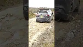 #short