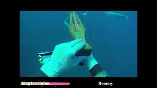 Recopilacion Mejores Disparos Part-1 SPEARFISHING BAJA MEXICO