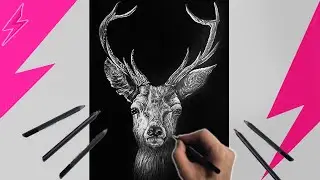 Drawing Deer - Pencil Drawing - By Alxandr